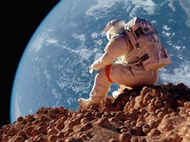 宇航员回地球后为什么无法站立,还要坐轮椅?看完让人心疼不已