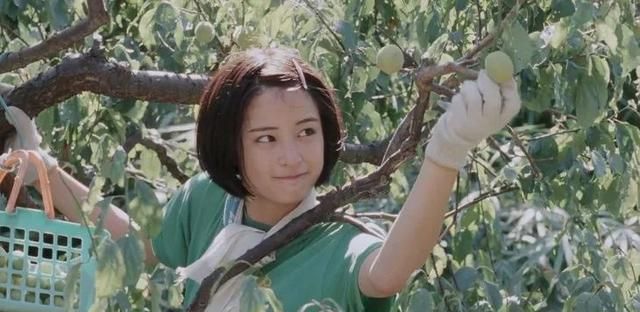 美人计|深田恭子石原里美成了日本女性最讨厌的女明星,理由呢