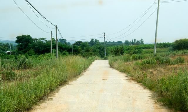 农村家里有车的越来越多,但有很多路却很窄,未来能不能加宽