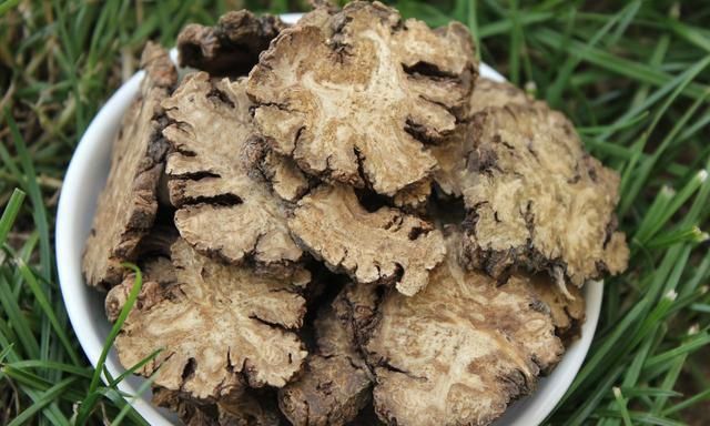 川芎是药材,在香料中的应用鲜有人知,殊不知用好了出香又出味