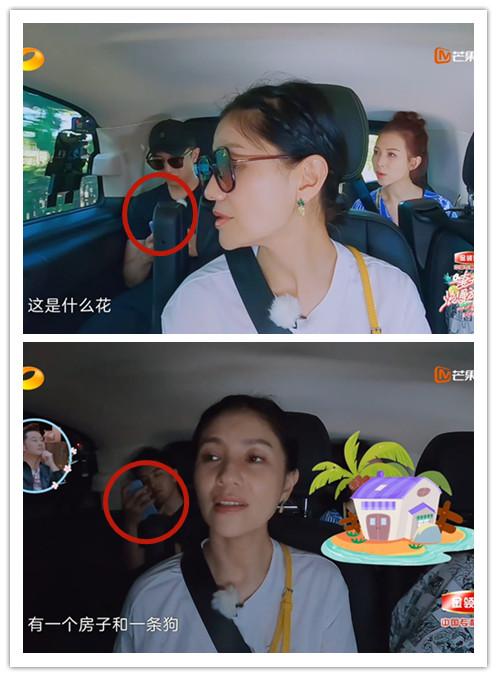 看了最新一期《妻子的浪漫旅行》发现:为何谢娜找金瀚接班魏大勋