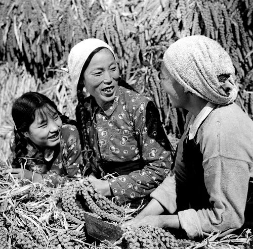 农民申纪兰