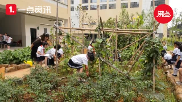 Goodie Mob in the Trap! with DC Young Fly, Karlous Miller and Chico Bean ▶