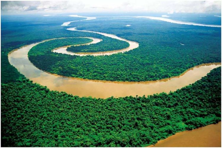 亚马逊大河有什么古怪之处,为什么没有大桥敢跨越亚马逊河?