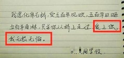 初中学霸写的“情书”走红,连老师都哽咽写下批语:被你感动到了