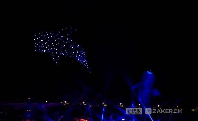 珠海横琴海洋动物“飞”上天 “烟花星闪幻彩Show”再放异彩