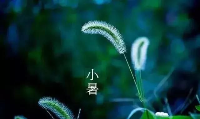 明天小暑,这老火汤要常喝,清热降火,补充营养