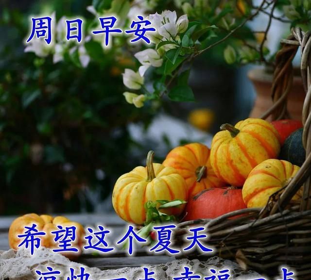 7月5日周末精心早安问候图片送知心朋友的早安句子