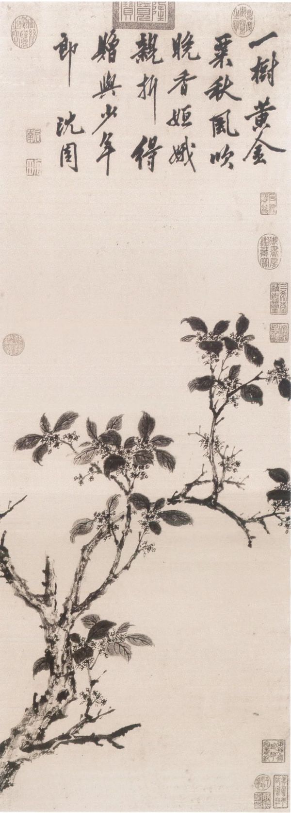 鉴赏|沈周绘画中的“应试”作品:一枝新发状元红