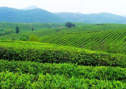 报道透露:乳山市里哪有按摩足疗?2025年实测专业推荐与实用指南