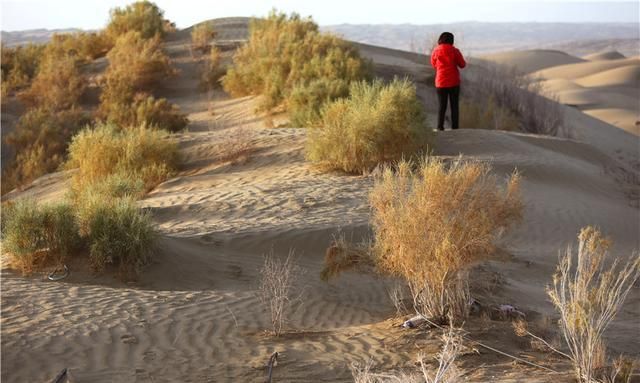新疆塔里木沙漠:南北贯穿被称为“死亡之海”的塔克拉玛干沙漠