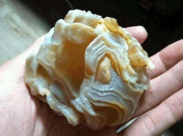 老汉意外发现 牛筋肉 奇石 摸清状况后 顿时站不住脚了