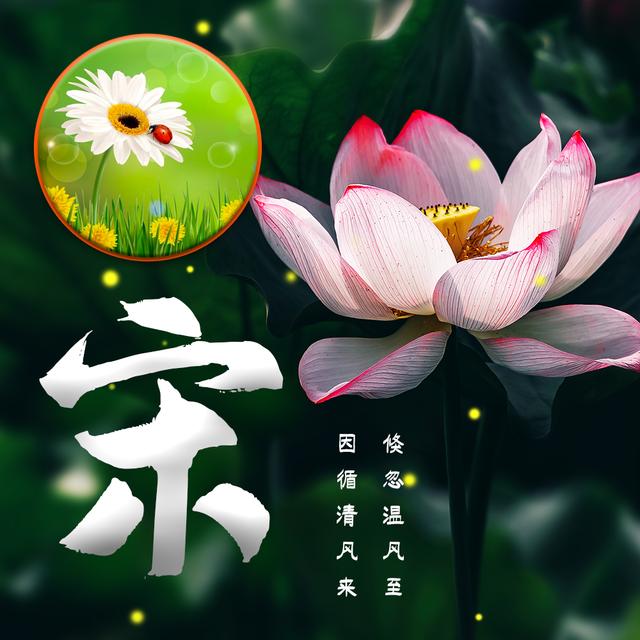 今日小暑寻一处清凉享一夏风光12张姓氏头像送给你