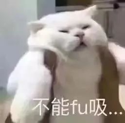 关系到落户、子女教育、升职加薪!这个证超多用处!没证的还有这个办法!