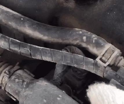 分享一些“收藏已久”的汽车养护知识，建议各们车主收藏好