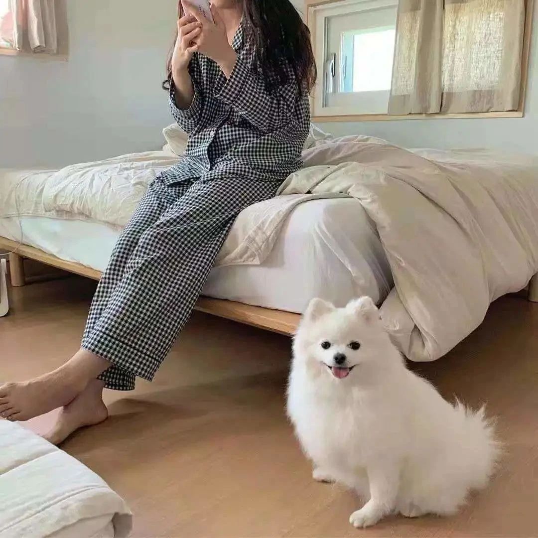 独居老人最容易出现哪些安全问题？