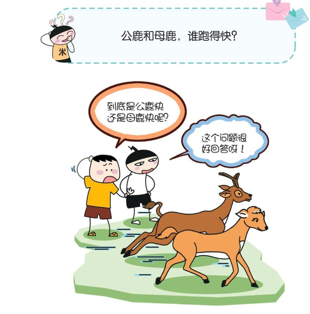 【脑力】公鹿和母鹿,谁跑得快?
