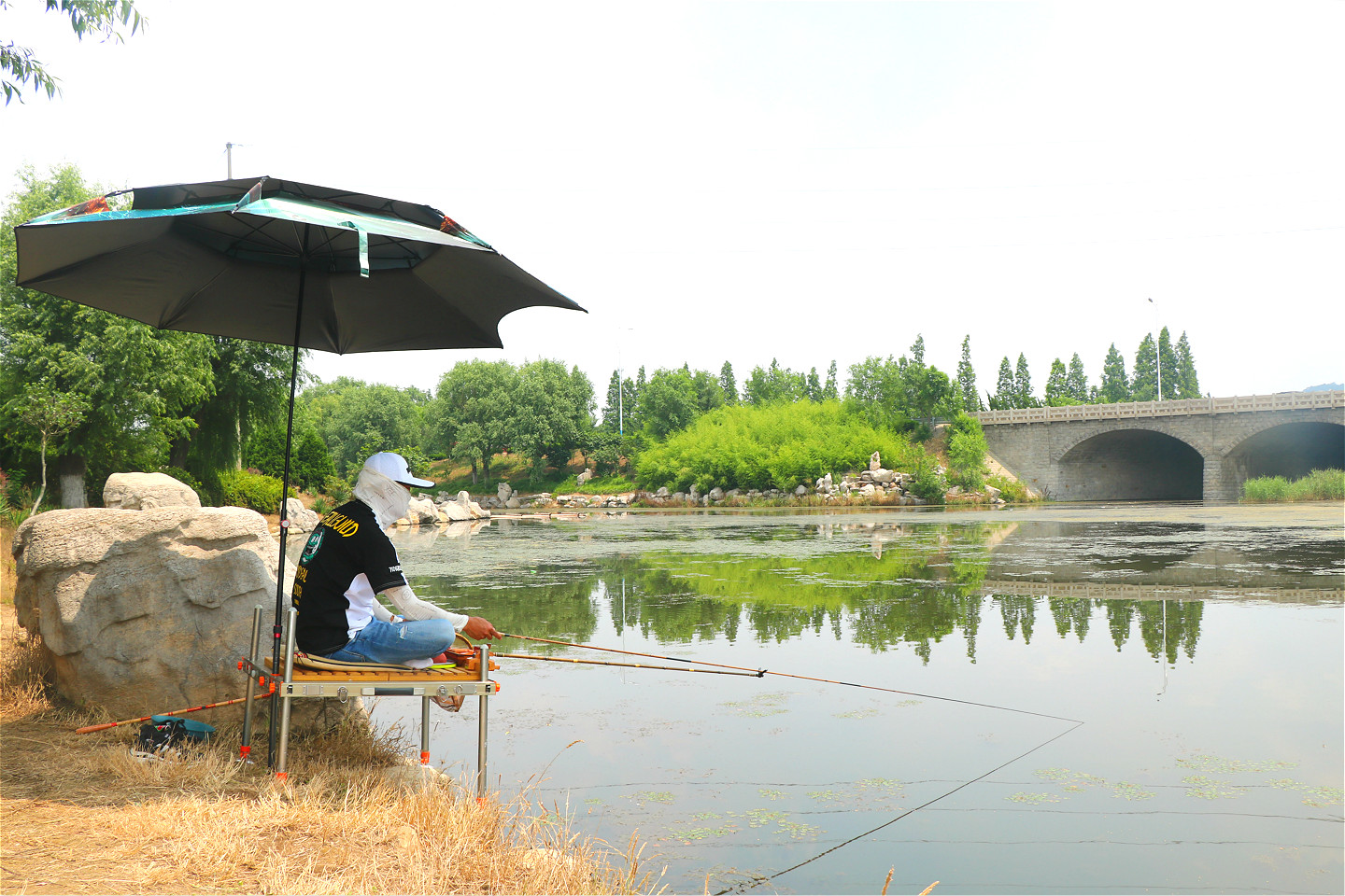 夏天的鱼都躲哪去了？原来都藏在这四个地方