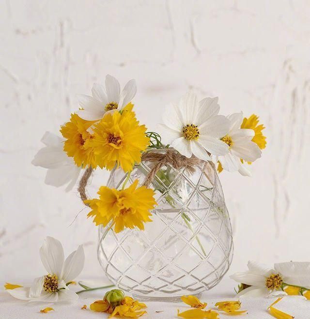 很有哲理的经典人生感悟,暗含深意,一般人看不懂!