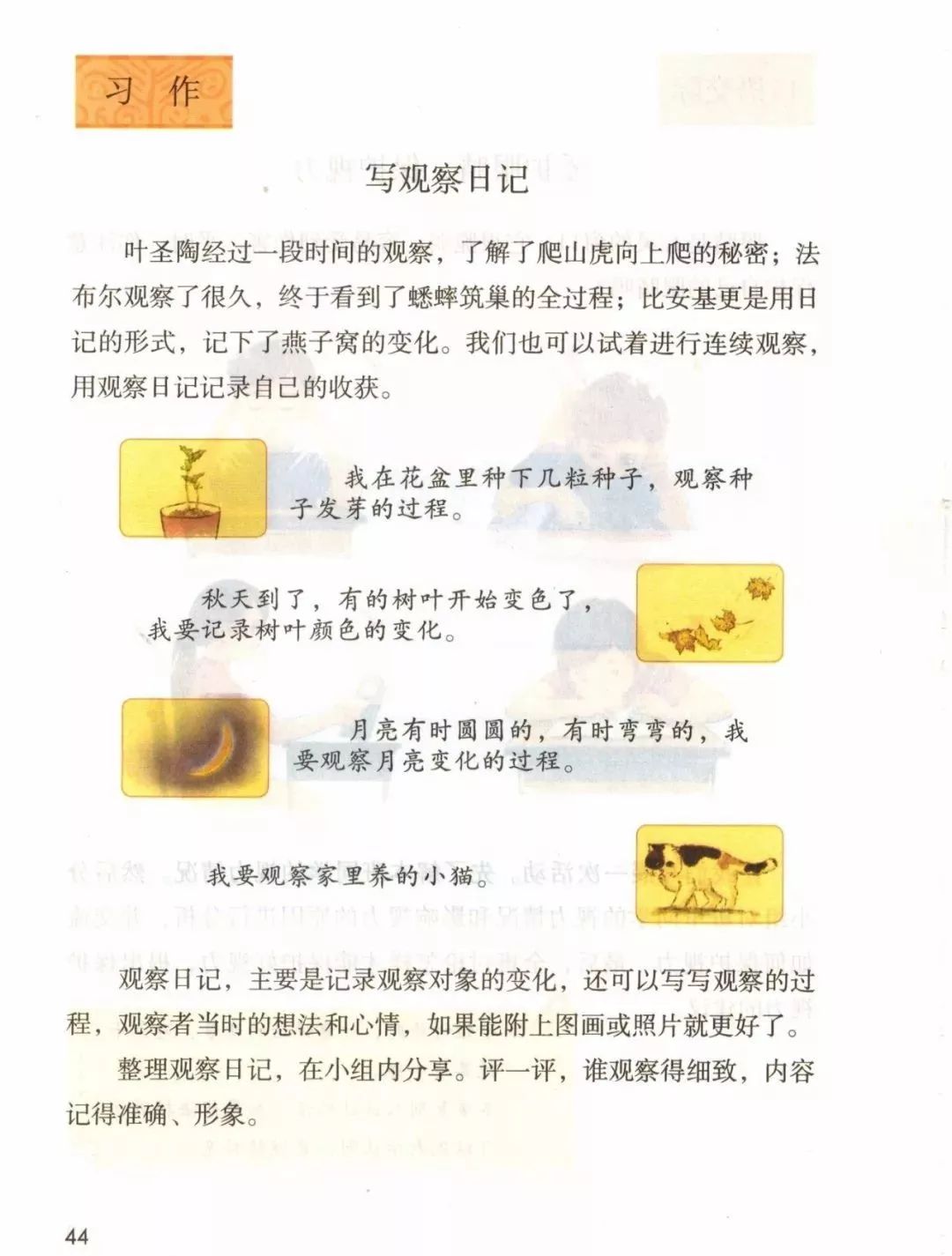 统编版2020年秋四年级上册语文电子教材课本(高清版,可打印)
