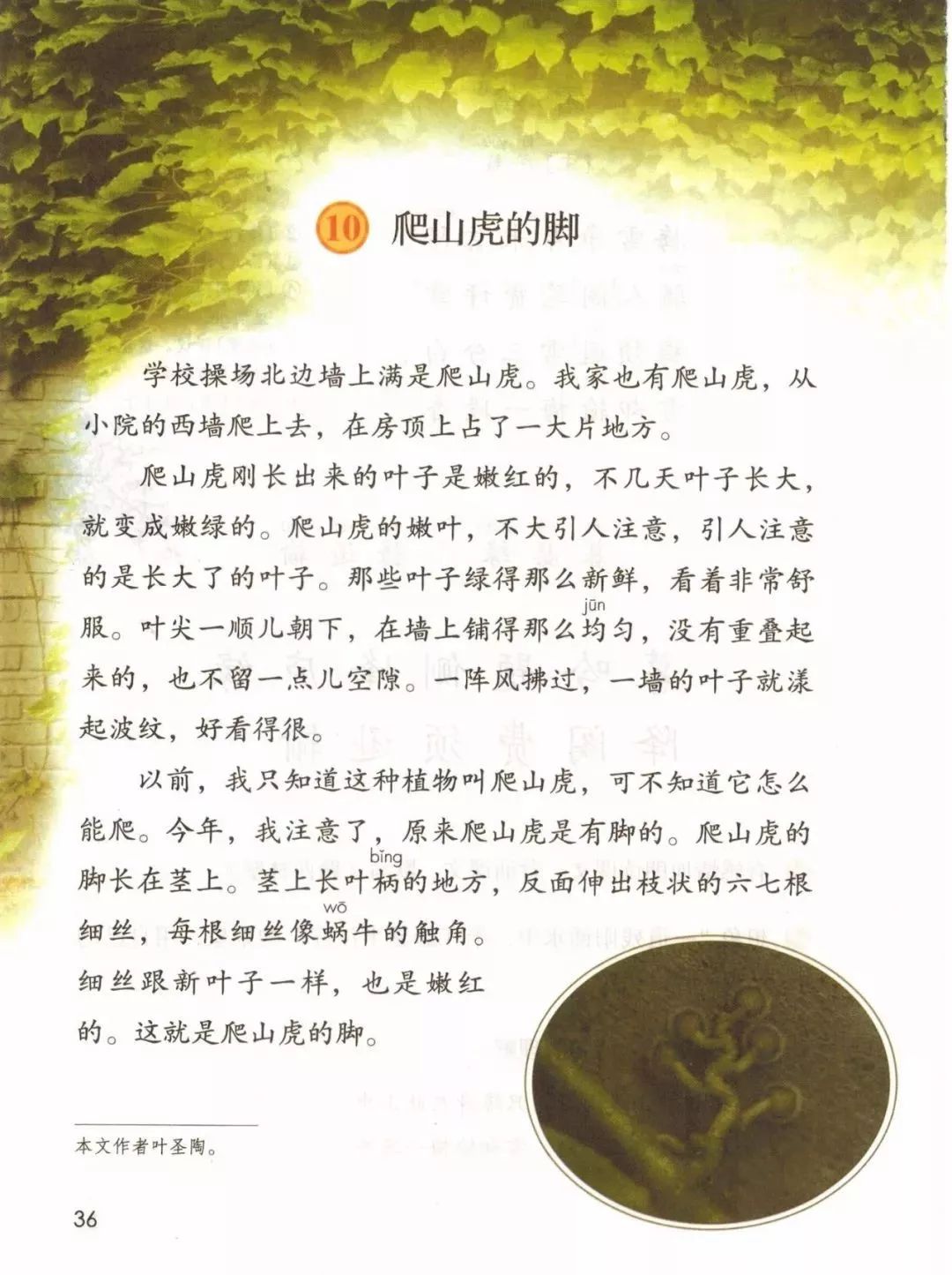 统编版2020年秋四年级上册语文电子教材课本(高清版,可打印)