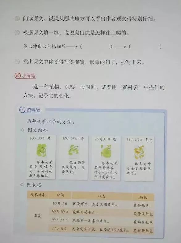 统编版2020年秋四年级上册语文电子教材课本(高清版,可打印)