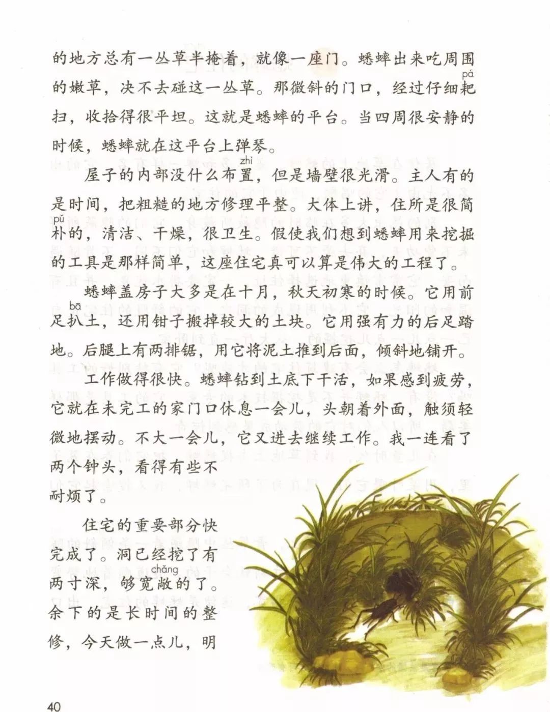 统编版2020年秋四年级上册语文电子教材课本(高清版,可打印)