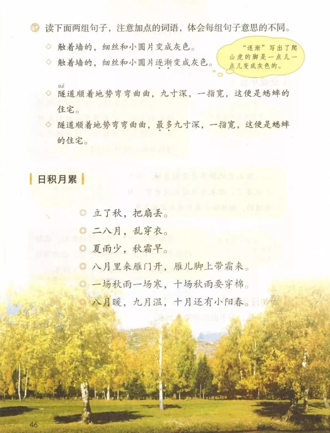 统编版2020年秋四年级上册语文电子教材课本(高清版,可打印)