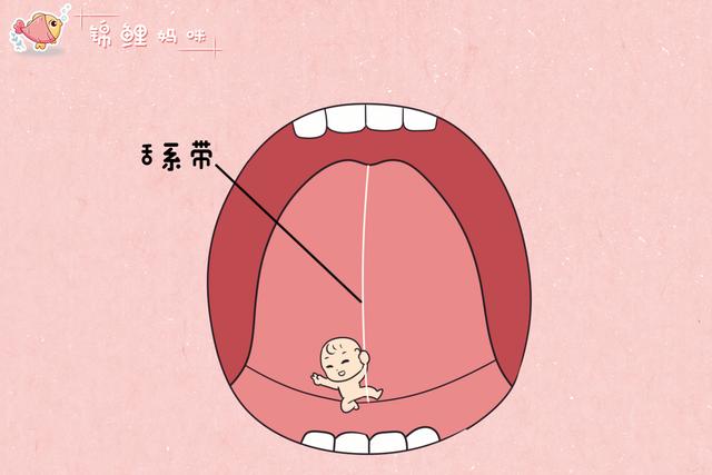 "大西几"和"小脑斧?宝宝说话这么"萌,或是舌系带出问题