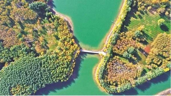 你知道宁夏有多少个湿地吗？这些美炸天的地方你去过吗？