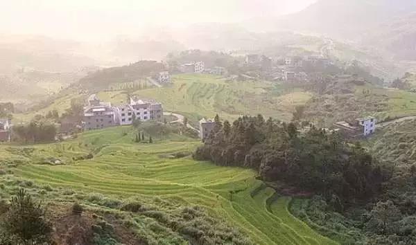 百家姓人口_世界上拥有人口最多的姓氏,单姓人口和邻国不差多少,很是佩服