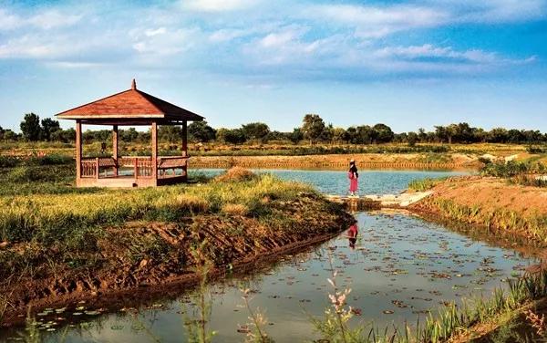 你知道宁夏有多少个湿地吗？这些美炸天的地方你去过吗？