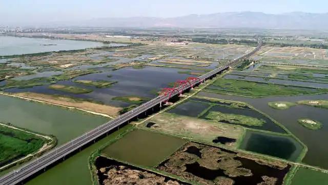 你知道宁夏有多少个湿地吗？这些美炸天的地方你去过吗？