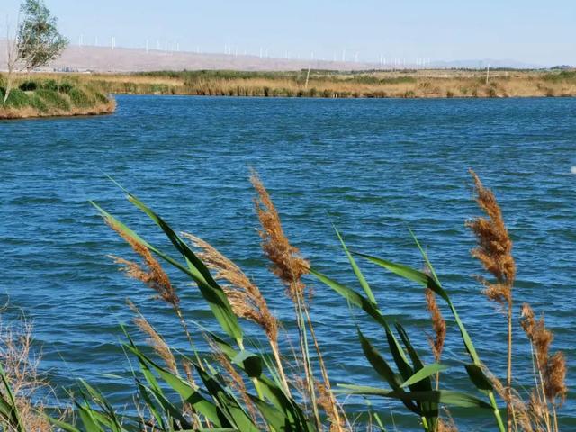 你知道宁夏有多少个湿地吗？这些美炸天的地方你去过吗？