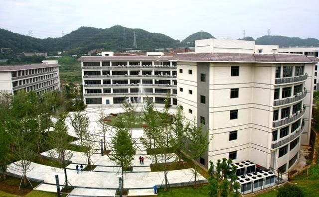 岭南师范排名2020_2020年岭南师范学院专插本录取率(2)