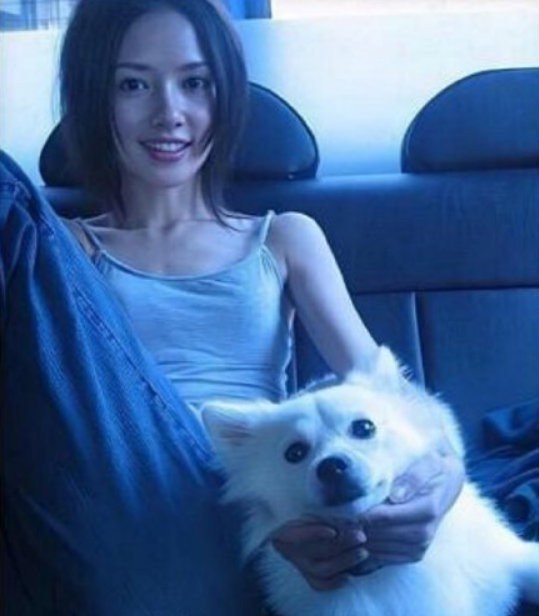 郭碧婷近照曝光清新短发配笑容网友状态不错