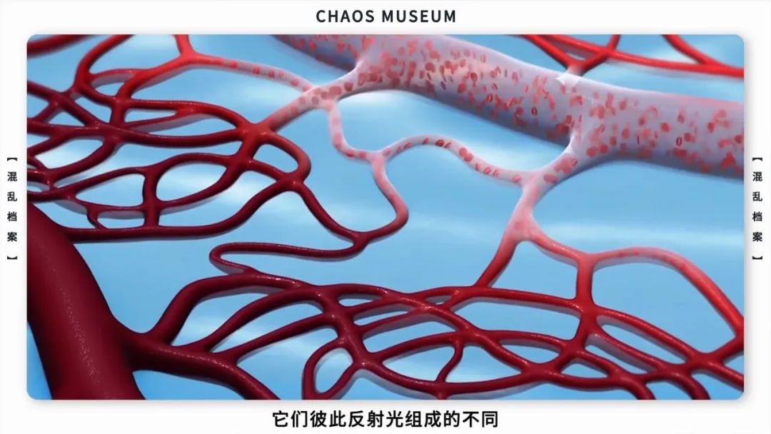 蓝色血管长什么样 25cf-iwpcxkr3712665.jpg