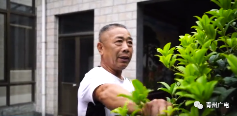 王府郑广全的幸福生活!