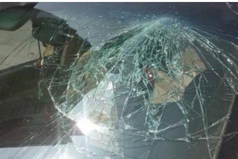 保险公司：玻璃破碎，保险不赔付，老司机：只怪你说了一句“是”