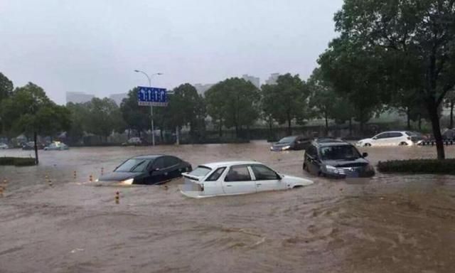 新能源汽车遭暴雨“侵蚀”，卖都卖不了，车主悔断肠