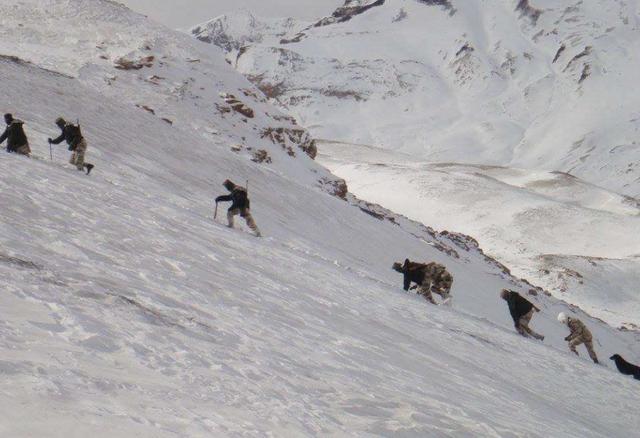 图为印军山地部队在雪地艰难前行