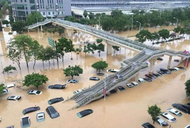 一场暴雨后，新能源车主哭了：不到一年就报废，这车雨天不能开？