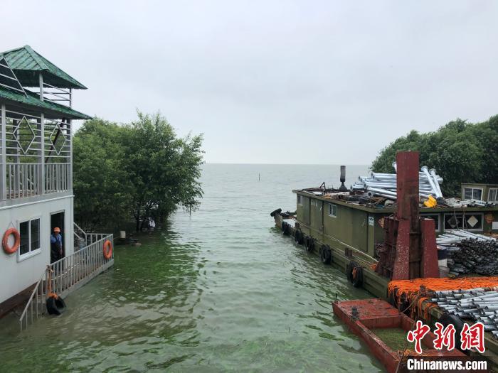 直击洪水红色预警下的江苏太湖:水位逼近堤岸 巡查一刻不停 孙权 摄