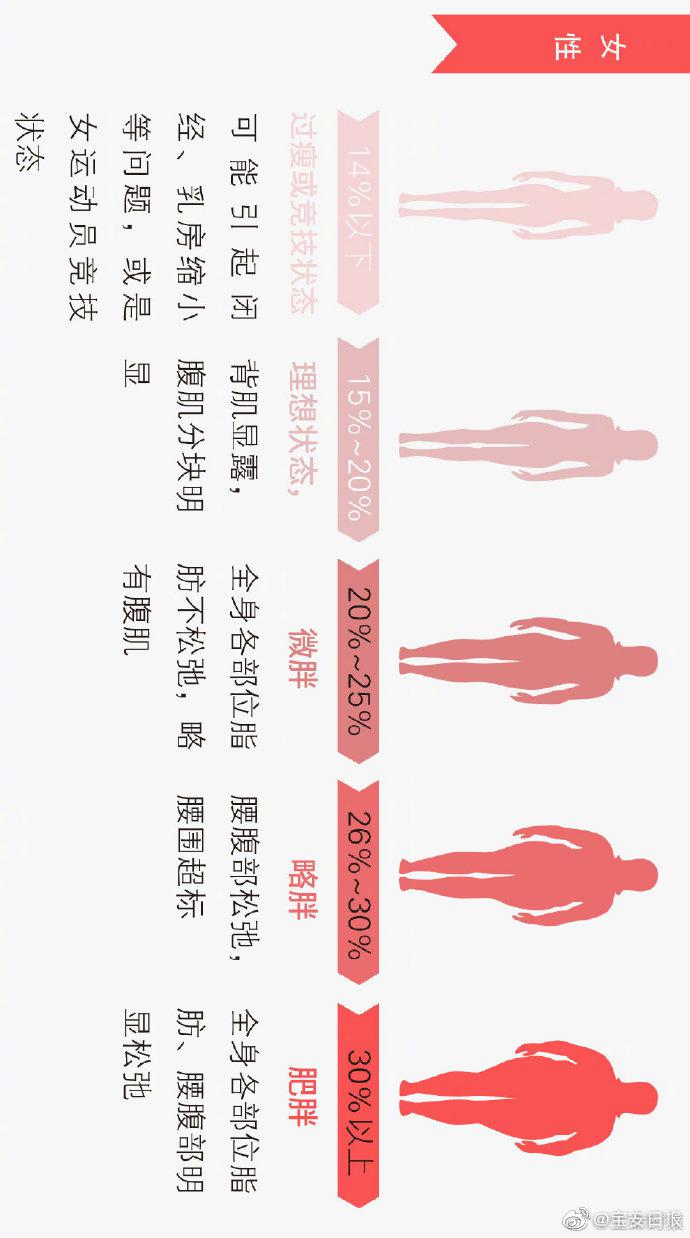 率 脂肪 50 女性 体 代