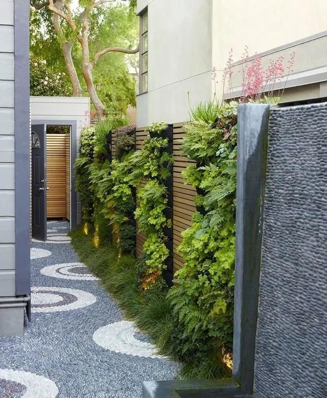 围墙的植物景境设计——围墙在藤蔓包围下,生动活泼,富有生气!