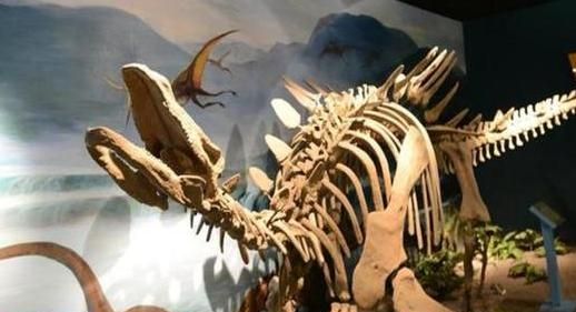 恐龙的灭绝并非是巧合?一只长颈龙的肚子里,出现了外星生命头骨