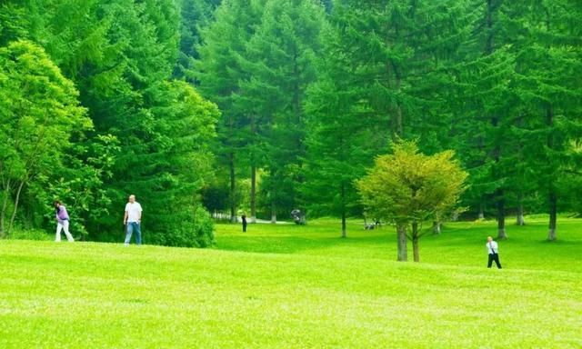 「朝天旅游」这不是瑞士,这里是广元朝天鸳鸯池森林公园