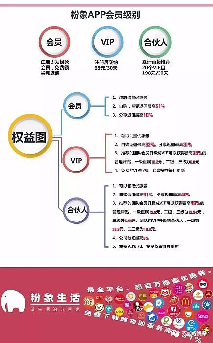 电商运营疯疯团队,电商运营主要做什么工作
