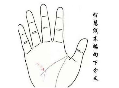 男人双手川字掌,多聚暴利之财,豪富大贵