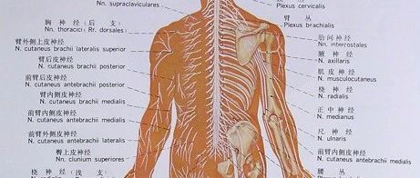 堵牙后疼需要挑神经吗？
